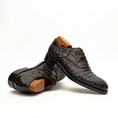 Dark Brown Crocodile Derby Shoe DIVINCH
