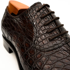 Dark Brown Crocodile Oxford Shoe DIVINCH