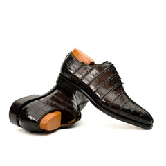 Dark Brown Crocodile-Textured Oxford DIVINCH