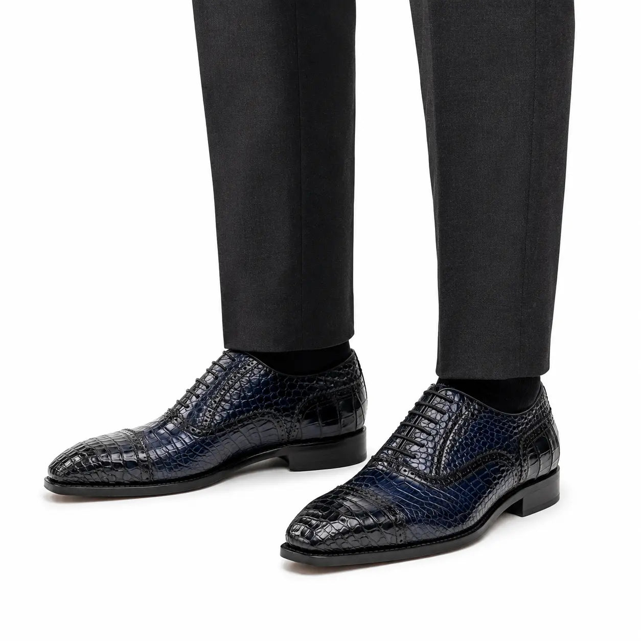 Midnight Crocodile Oxford